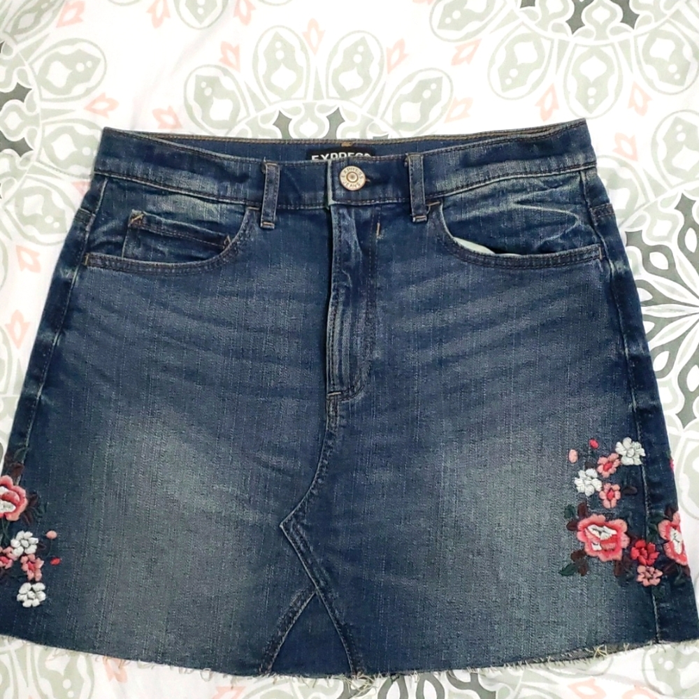 Express Jean Floral Embroidered Denim